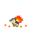 Cyndaquil-1.gif