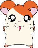 hamtaro!