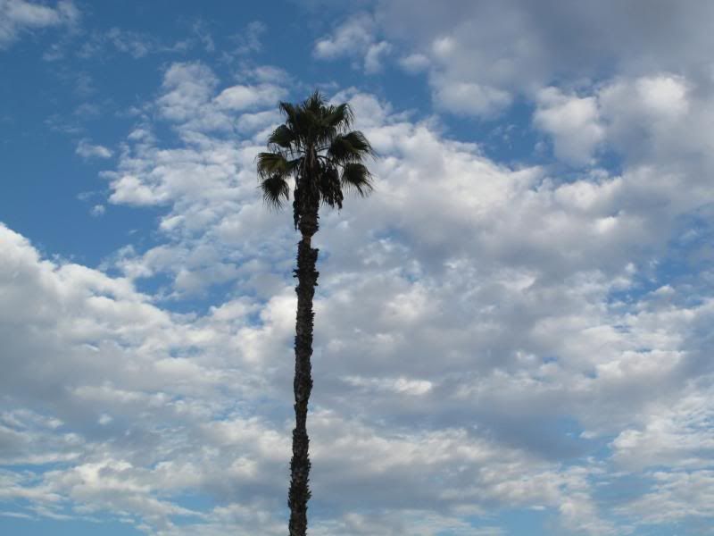 Partly cloudy Pictures, Images and Photos