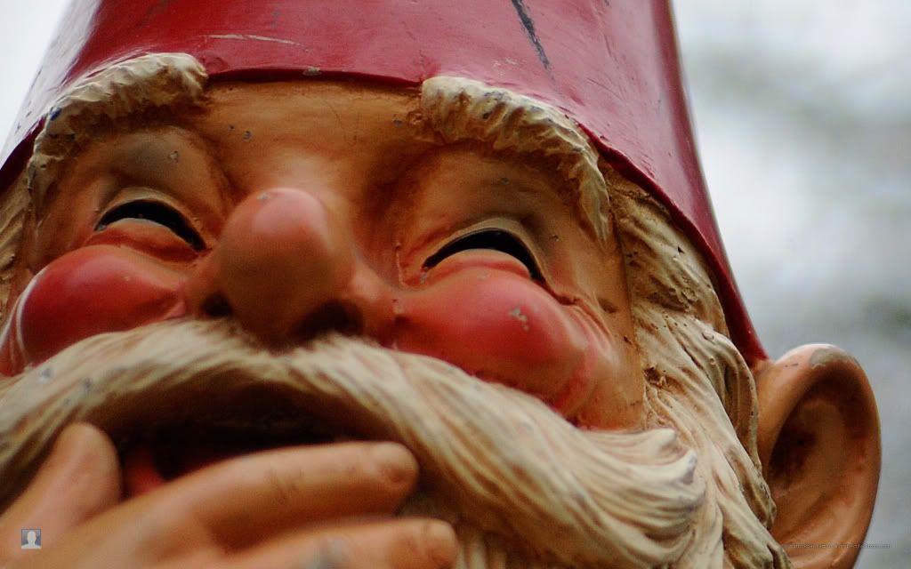 gnome wallpapers. garden gnome gnome wallpapers. gnome wallpapers. garden gnome