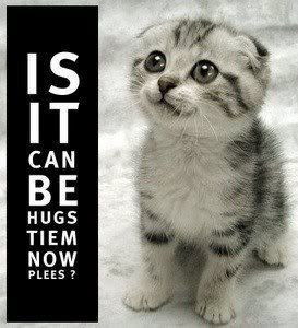 Hugs tiem