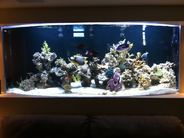 fishtank3.jpg