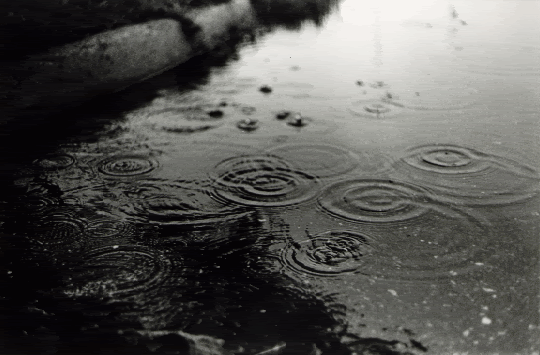 rain Pictures, Images and Photos