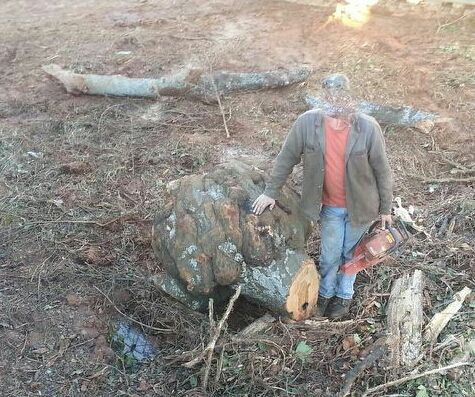 Burl Wood - Homesteading Questions