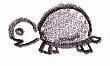 Drawing Of a Turtle