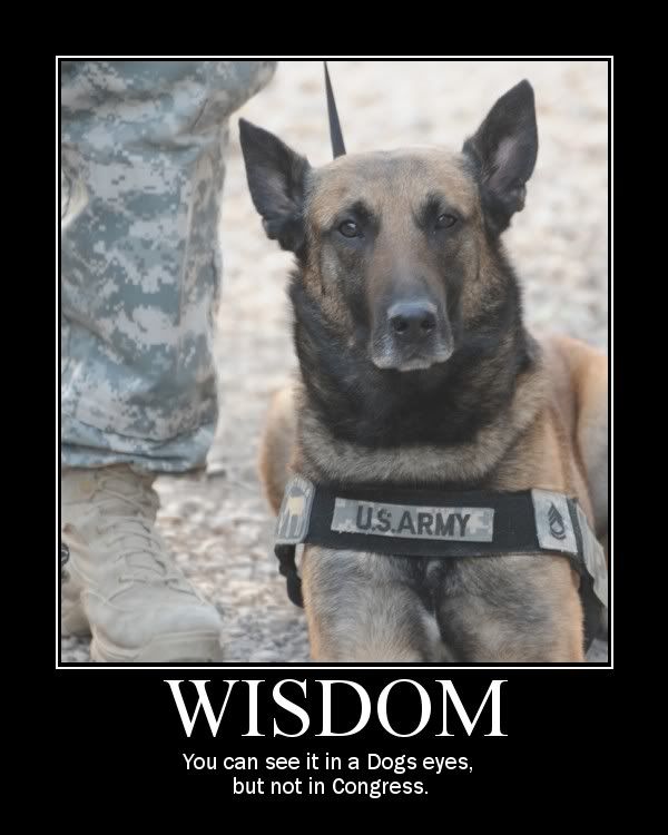 Military Demotivational posters Pictures, Images and Photos