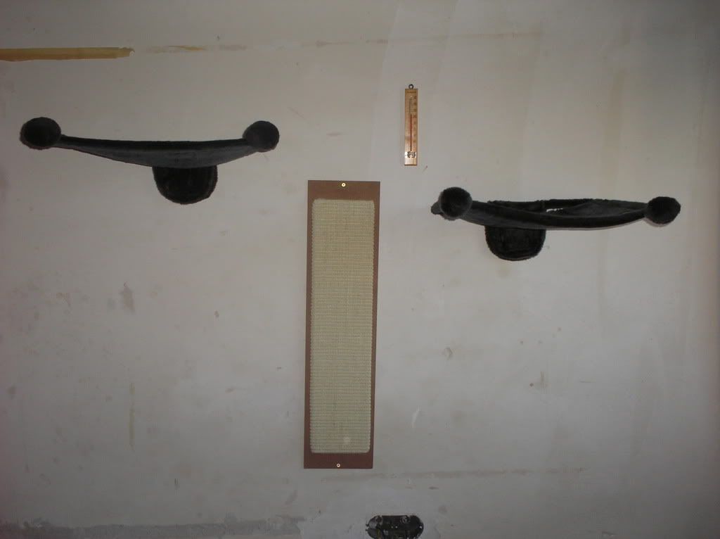 P9080057.jpg