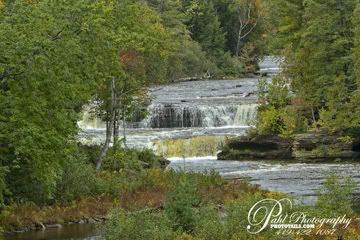 IMAGE: http://i276.photobucket.com/albums/kk15/phototails/img_1420copy.jpg