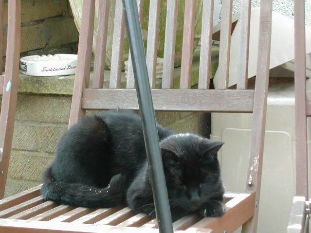 DSCN0308.jpg