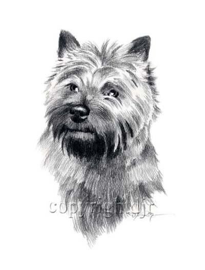 carin terrier coloring pages - photo #48