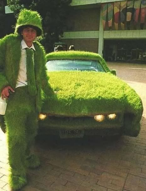 carro-ecologico-465x609.jpg
