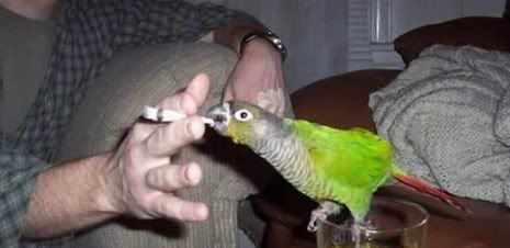 fumando-465x226.jpg