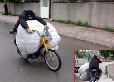 moto.jpg