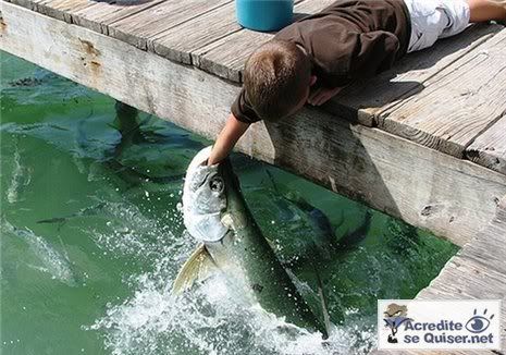 pescando.jpg