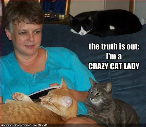 crazycatlady.jpg