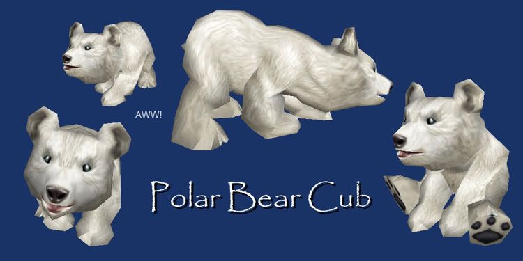 polarbearcub.jpg