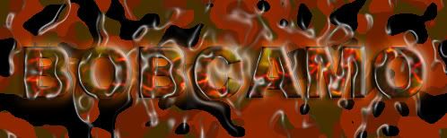 myFireCAMO2-3copy.jpg