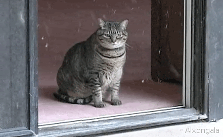 tumblr_m0x4xgz7yA1qii6tmo1_500.gif