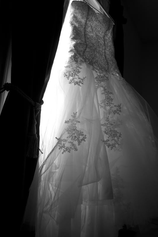 IMAGE: http://i276.photobucket.com/albums/kk2/D40riggs/Hansen%20Wedding-December%202010/windowdressbw.jpg