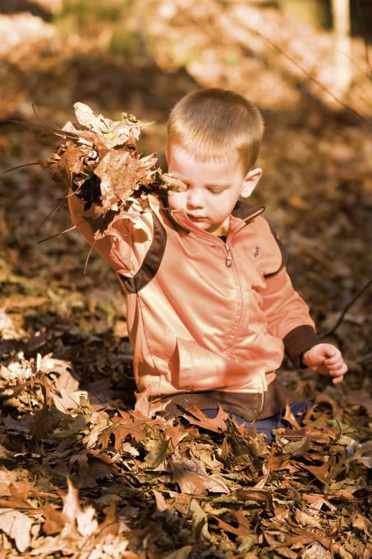 IMAGE: http://i276.photobucket.com/albums/kk2/D40riggs/Michael/leavedropping.jpg