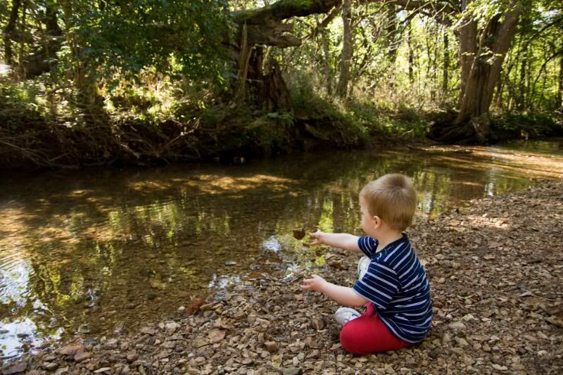 IMAGE: http://i276.photobucket.com/albums/kk2/D40riggs/Michael/rockthrow.jpg