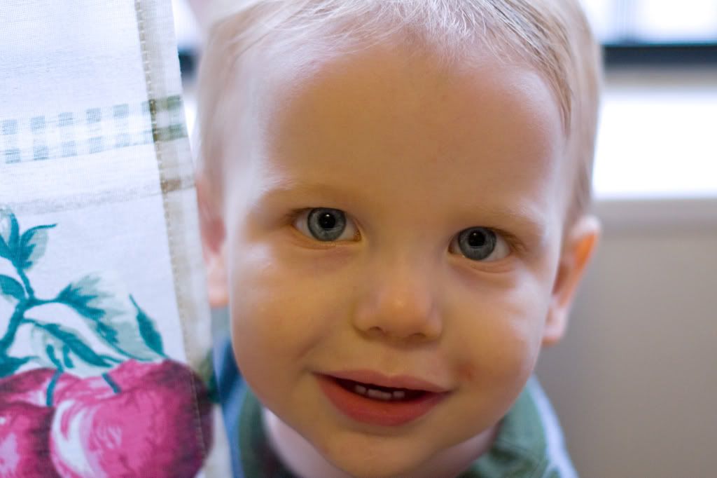 IMAGE: http://i276.photobucket.com/albums/kk2/D40riggs/Michael/window3.jpg