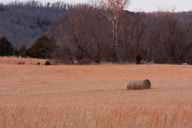 IMAGE: http://i276.photobucket.com/albums/kk2/D40riggs/Nature%20Pics/haybalelandscapeweb.jpg