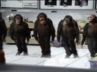 riverdancing chimps photo: Dancing Chimps monkeydance-1.gif