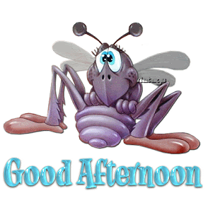 good afternoon photo: Good afternoon bug buggaay4.gif