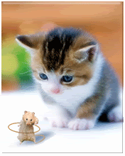 funny-14.gif