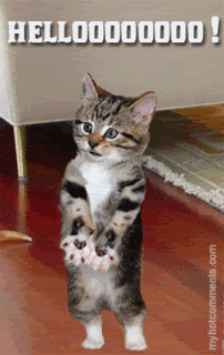 th_a66275bd8485f27991a06517e2c807c1.gif