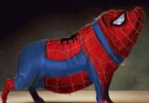 Spider Pig