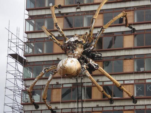 biggest spider