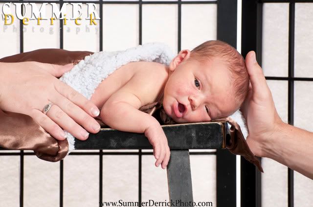 newborn