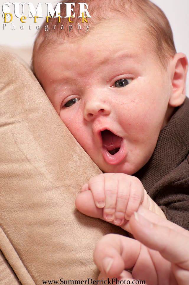 newborn