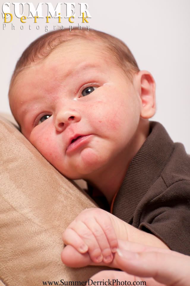 newborn