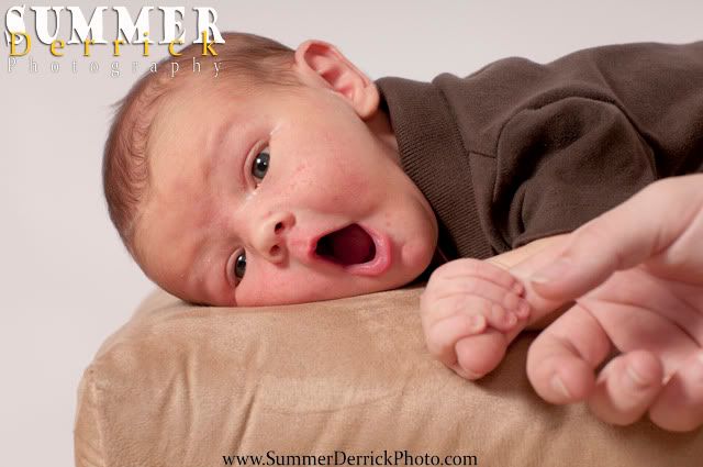 newborn