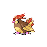 pidgeottorevamp.png