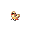 pidgeyrevamp.png
