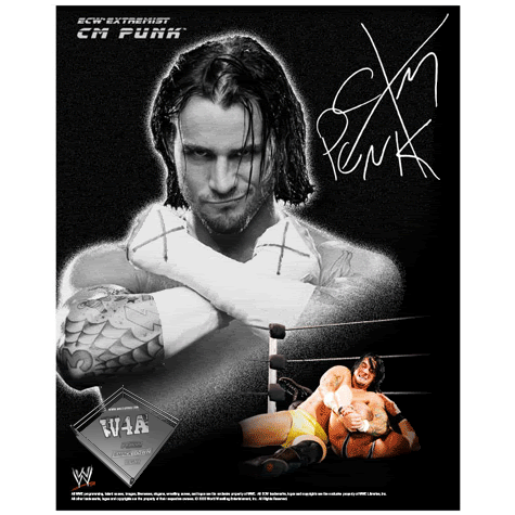 awesome cm punk
