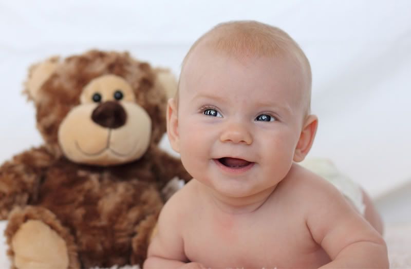 IMAGE: http://i276.photobucket.com/albums/kk27/axphotodesign/POTNBear.jpg