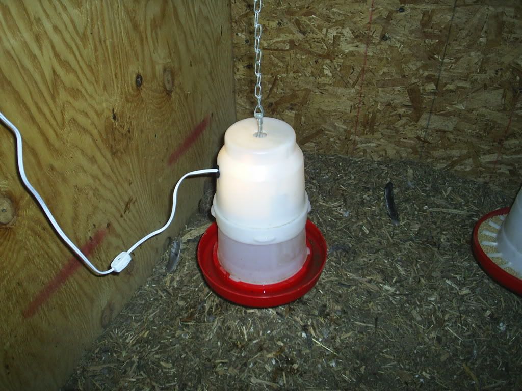 Heated Water BowlSafe with extension Cord??? BackYard Chickens