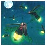 kunang-kunang, terang dunia