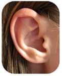 telinga, fungsi telinga, mendengar
