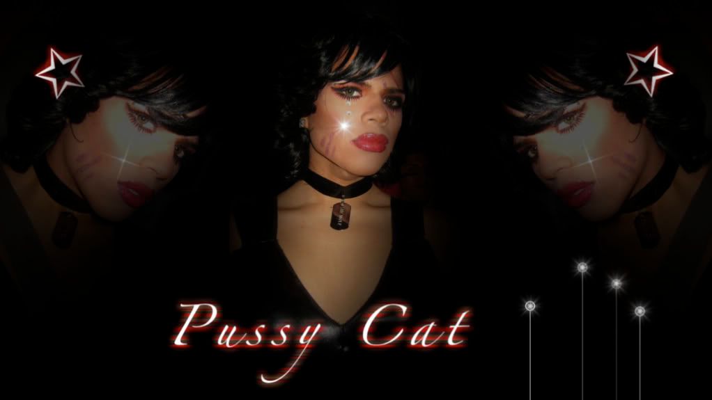 Diego as "Cat Women" (c) Danny_Armando pussy toys for women