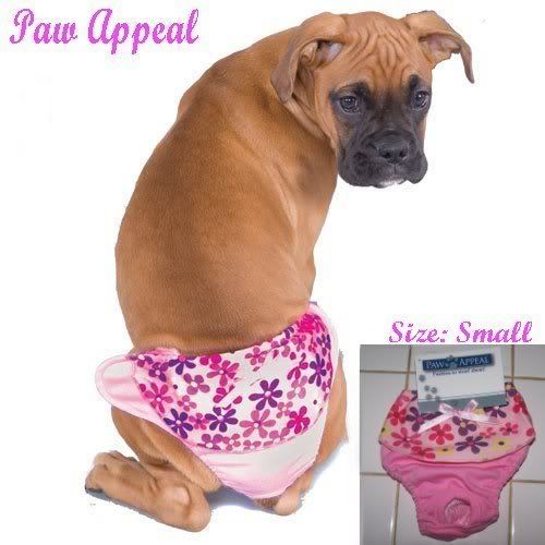 pink oopsie panties