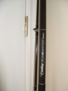 newebaystuff290810016.jpg