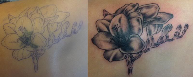 Freesia Flower Tattoo Ink trails tattoo forum