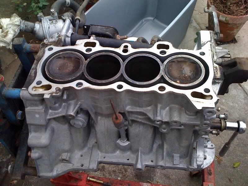 d15z1 / d16y5 VTECE Squad! Page 9 HondaTech Honda Forum Discussion