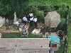 [Orange County Sheriff's Office search the back yard of the Anthony home on Hopespring Drive in Orlando]